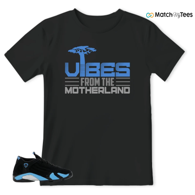 NIKE AIR JORDAN 14 RETRO BLACK UNIVERSITY BLUE (2026) (GS) SNEAKER Matching Tees t-shirt