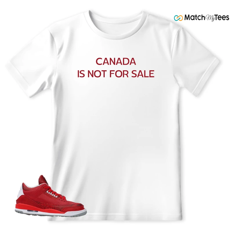 NIKE AIR JORDAN 3 JBF CUSTOM VALENTINE'S DAY SNEAKER Matching Tees t-shirt