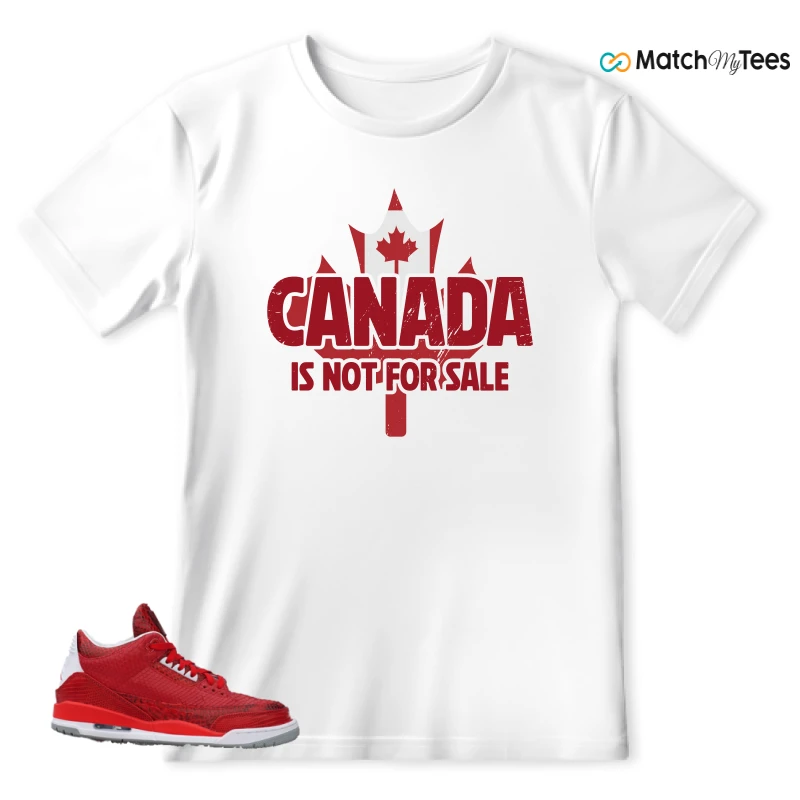 NIKE AIR JORDAN 3 JBF CUSTOM VALENTINE'S DAY SNEAKER Matching Tees t-shirt