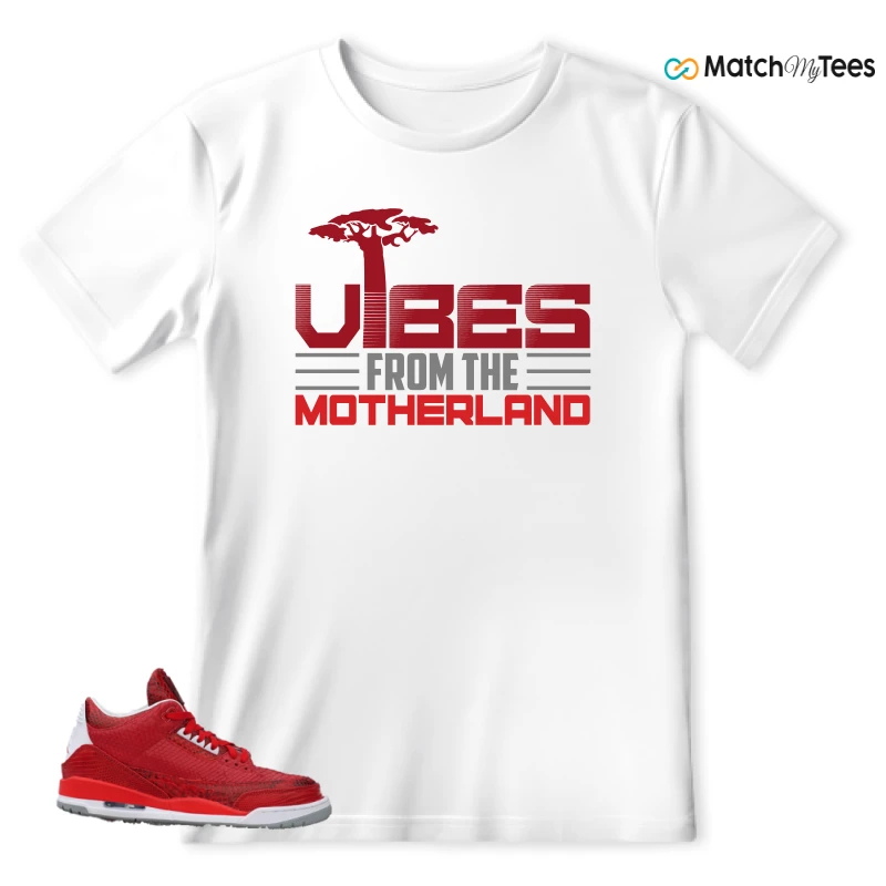 NIKE AIR JORDAN 3 JBF CUSTOM VALENTINE'S DAY SNEAKER Matching Tees t-shirt