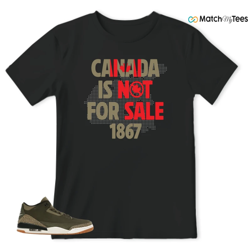 NIKE AIR JORDAN 3 RETRO FAMILY AFFAIR SNEAKER Matching Tees t-shirt