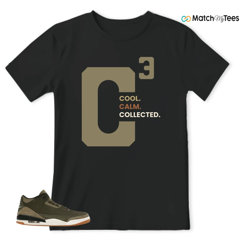 NIKE AIR JORDAN 3 RETRO FAMILY AFFAIR SNEAKER Matching Tees t-shirt
