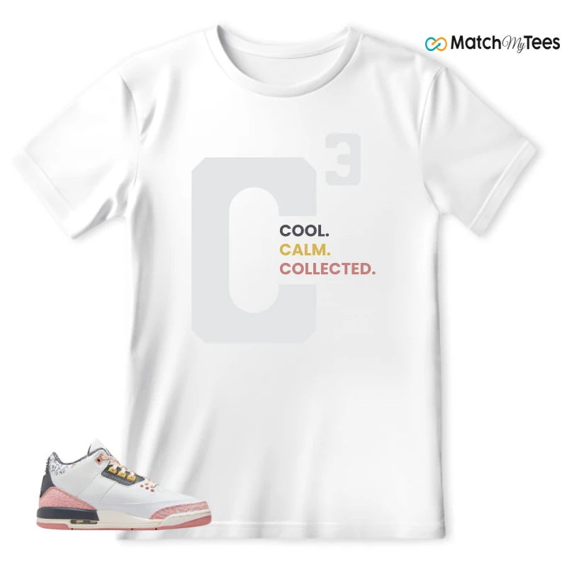 NIKE AIR JORDAN 3 GS RED STARDUST SNEAKER Matching Tees t-shirt