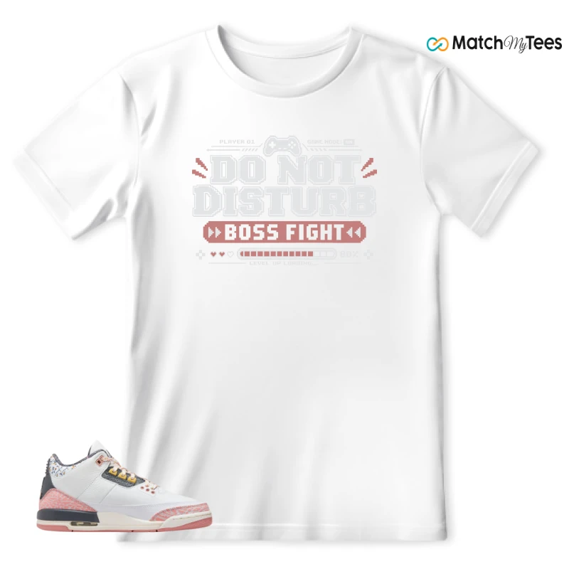 NIKE AIR JORDAN 3 GS RED STARDUST SNEAKER Matching Tees t-shirt