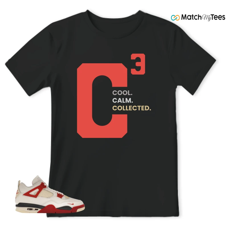 NIKE AIR JORDAN 4 RETRO OG NIGEL SYLVESTER X SP BRICK AFTER BRICK SNEAKER Matching Tees t-shirt