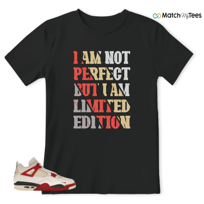 NIKE AIR JORDAN 4 RETRO OG NIGEL SYLVESTER X SP BRICK AFTER BRICK SNEAKER Matching Tees t-shirt