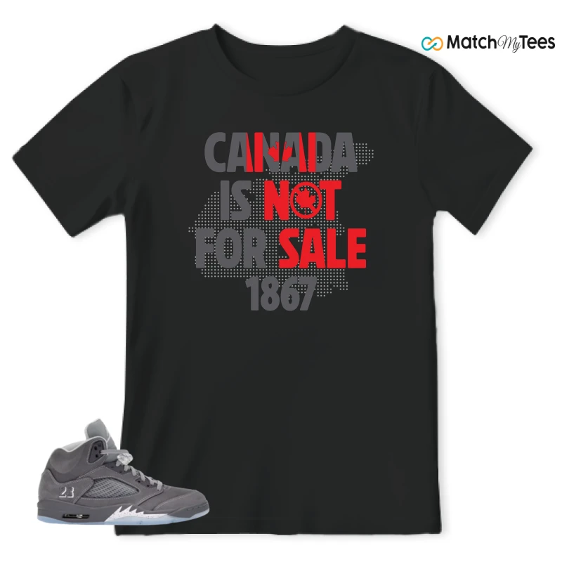 NIKE AIR JORDAN 5 WOLF GREY SNEAKER Matching Tees t-shirt