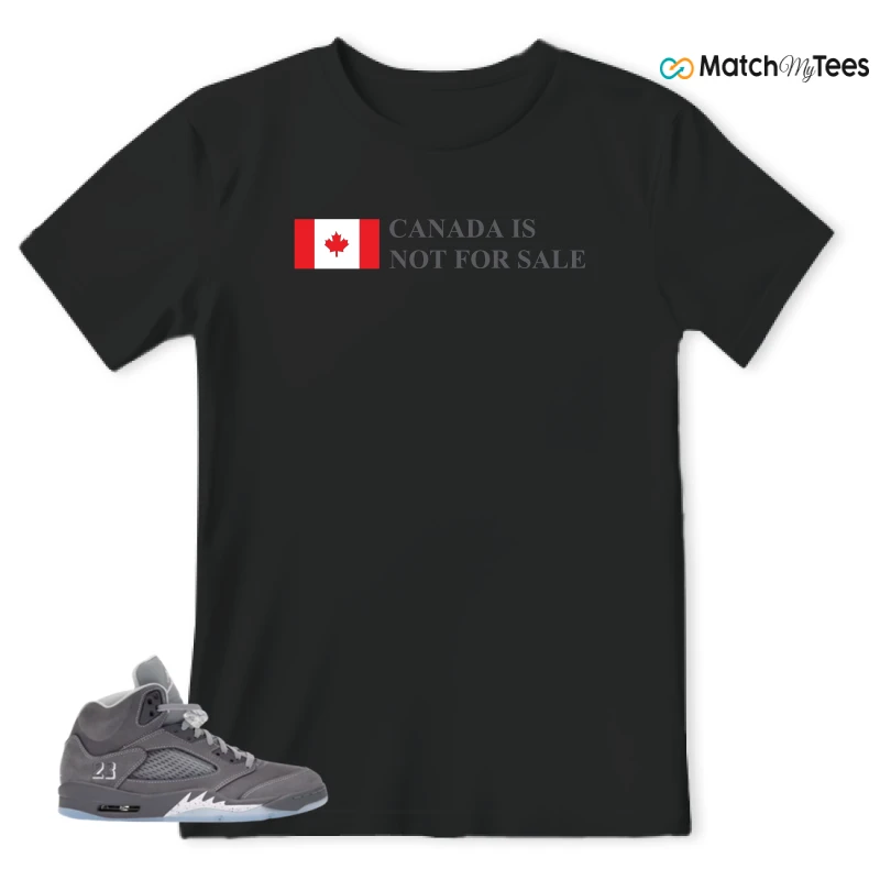 NIKE AIR JORDAN 5 WOLF GREY SNEAKER Matching Tees t-shirt