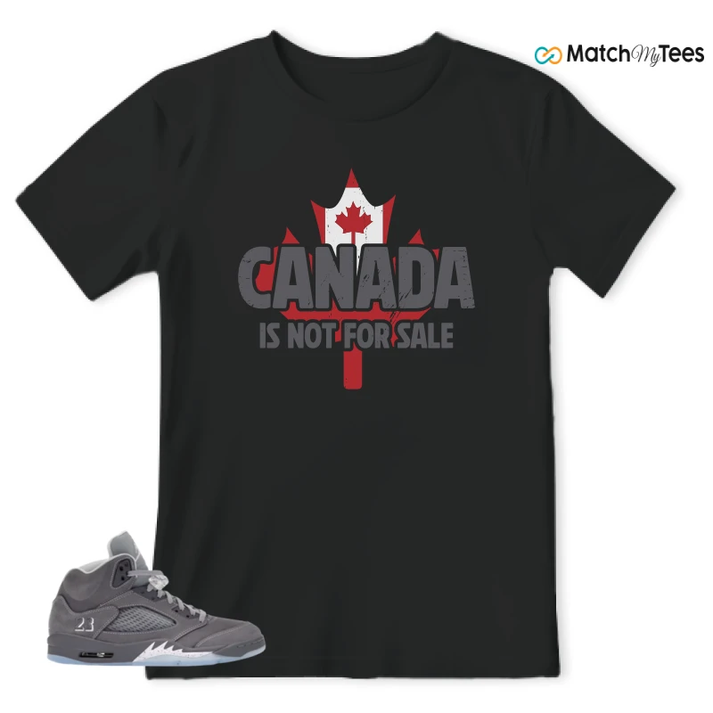NIKE AIR JORDAN 5 WOLF GREY SNEAKER Matching Tees t-shirt