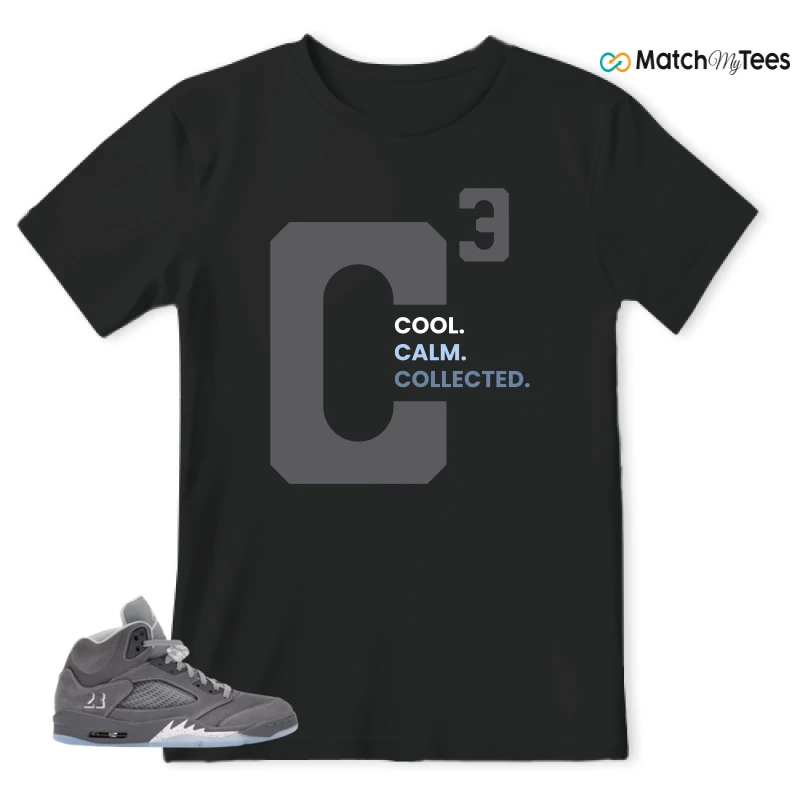NIKE AIR JORDAN 5 WOLF GREY SNEAKER Matching Tees t-shirt
