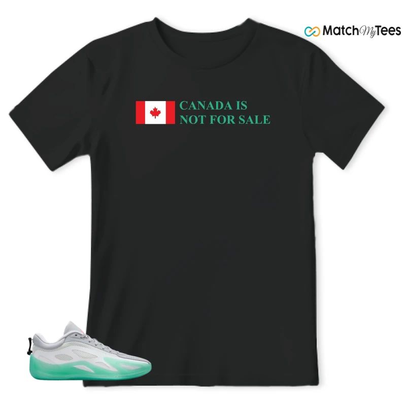 NIKE AIR JORDAN HEIR SERIES 2 SOUTH BEACH SNEAKER Matching Tees t-shirt