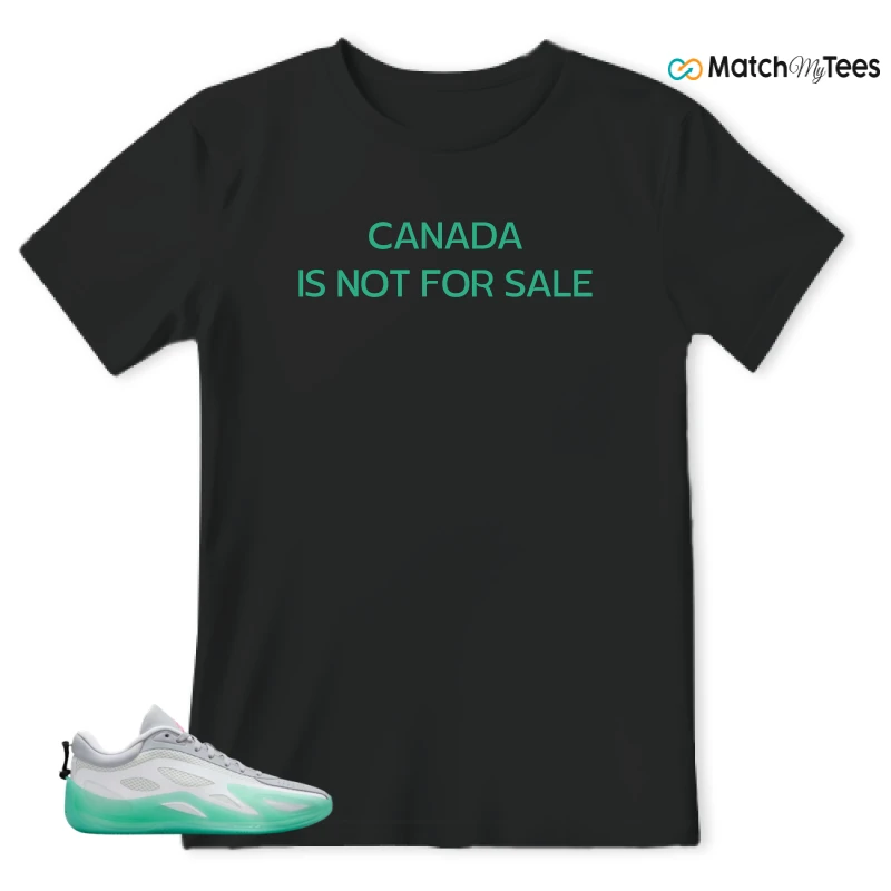 NIKE AIR JORDAN HEIR SERIES 2 SOUTH BEACH SNEAKER Matching Tees t-shirt