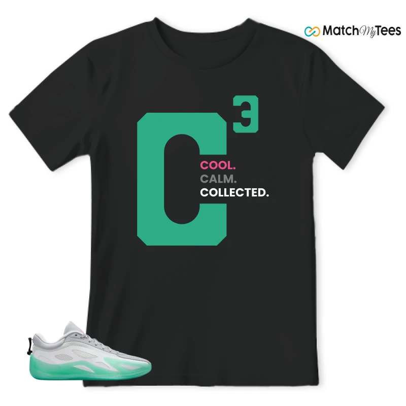NIKE AIR JORDAN HEIR SERIES 2 SOUTH BEACH SNEAKER Matching Tees t-shirt