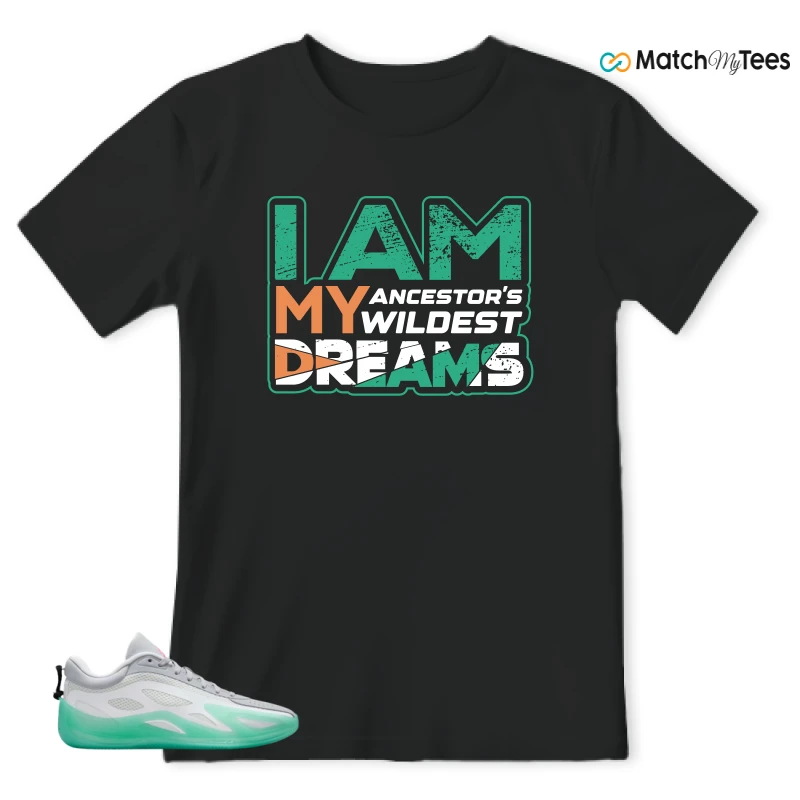 NIKE AIR JORDAN HEIR SERIES 2 SOUTH BEACH SNEAKER Matching Tees t-shirt
