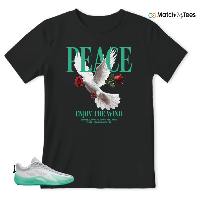NIKE AIR JORDAN HEIR SERIES 2 SOUTH BEACH SNEAKER Matching Tees t-shirt