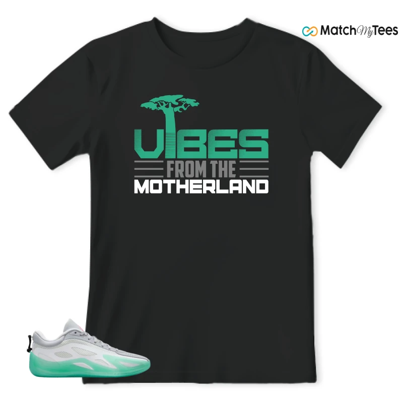 NIKE AIR JORDAN HEIR SERIES 2 SOUTH BEACH SNEAKER Matching Tees t-shirt