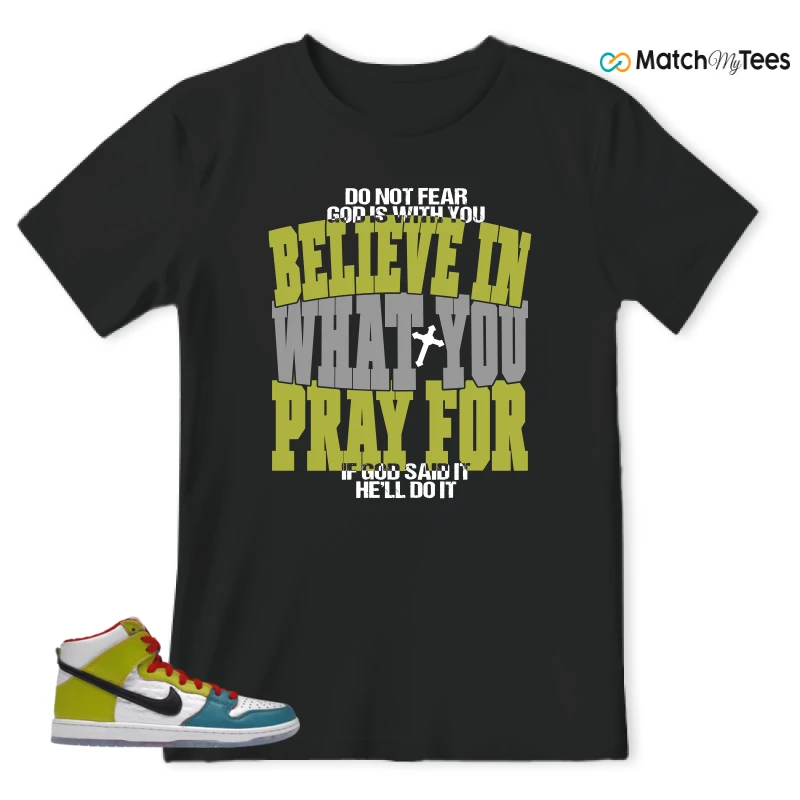 NIKE DUNK HIGH PRO FROSKATE ALL LOVE SNEAKER Matching Tees t-shirt