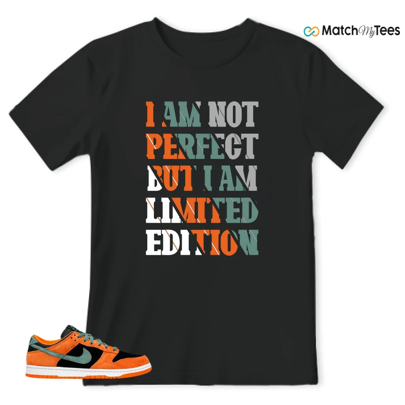 I Am Not Perfect Black matching T-shirt T-shirt