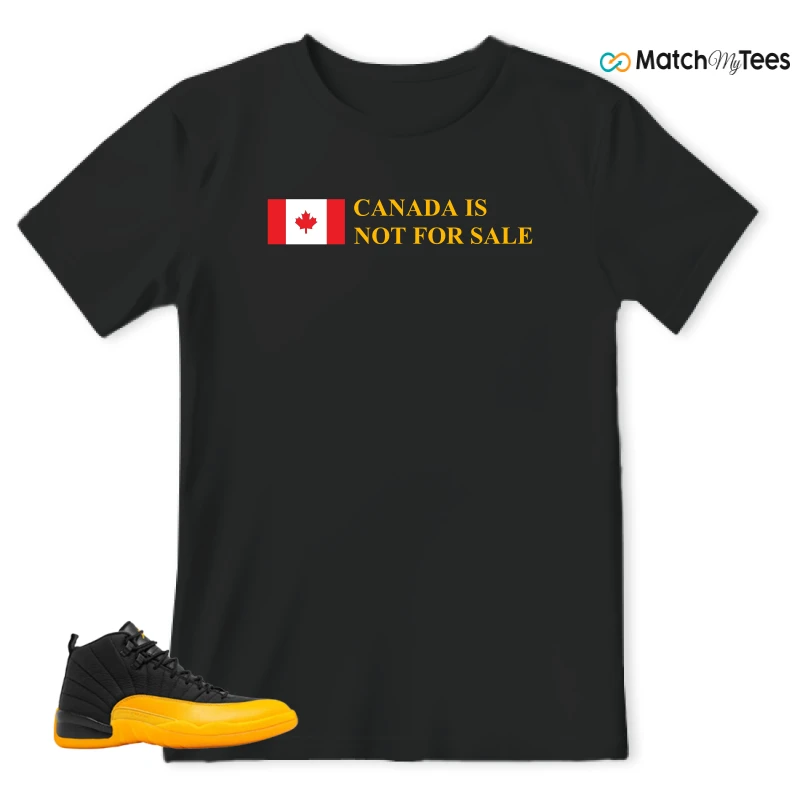 NIKE JORDAN 12 RETRO BLACK UNIVERSITY GOLD SNEAKER Matching Tees t-shirt