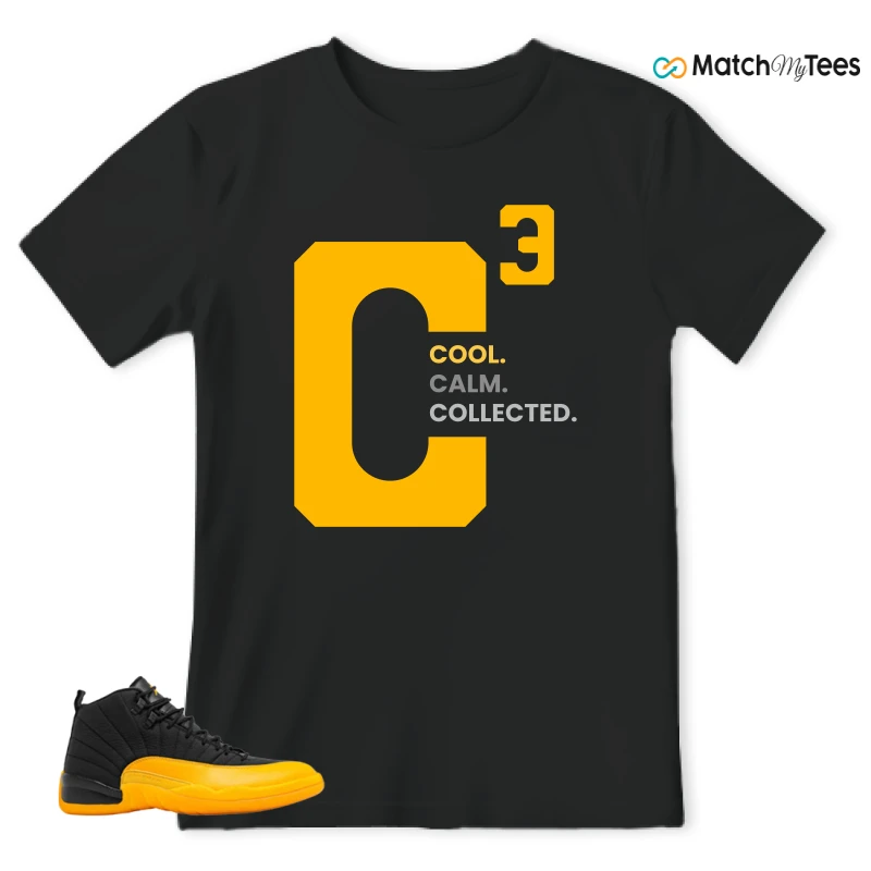 NIKE JORDAN 12 RETRO BLACK UNIVERSITY GOLD SNEAKER Matching Tees t-shirt