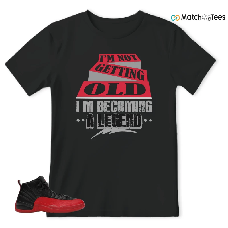 NIKE JORDAN 12 RETRO FLU GAME (2025) SNEAKER Matching Tees t-shirt