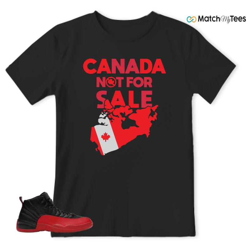 NIKE JORDAN 12 RETRO FLU GAME (2025) SNEAKER Matching Tees t-shirt