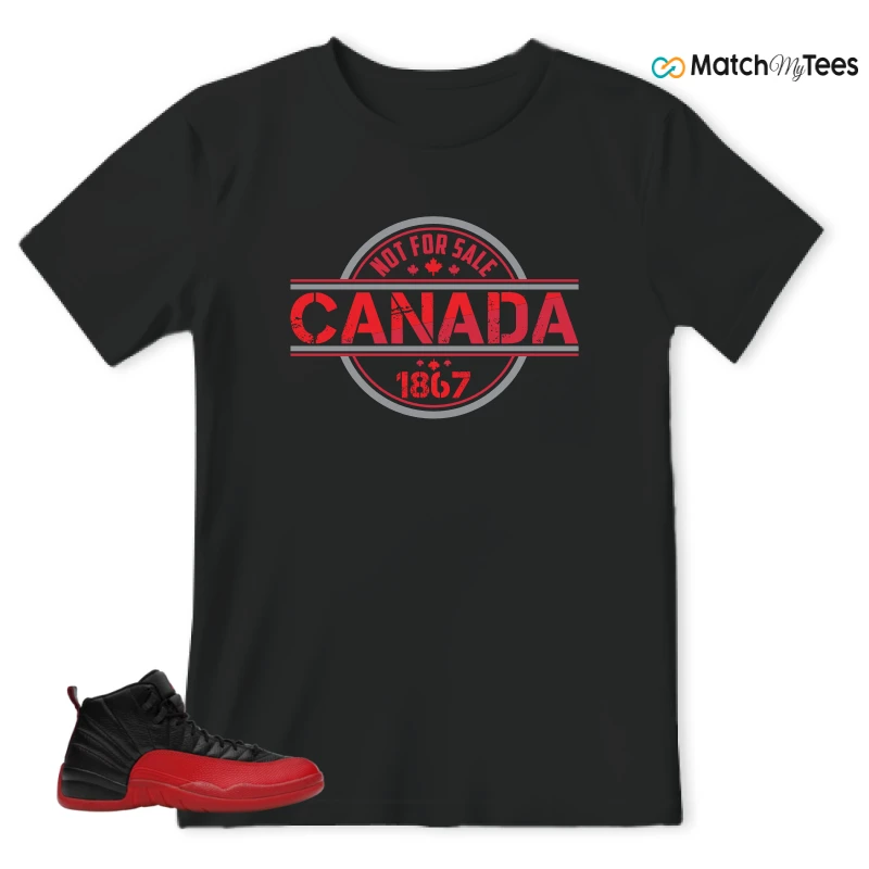 NIKE JORDAN 12 RETRO FLU GAME (2025) SNEAKER Matching Tees t-shirt