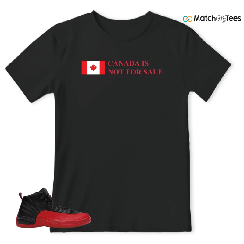 NIKE JORDAN 12 RETRO FLU GAME (2025) SNEAKER Matching Tees t-shirt