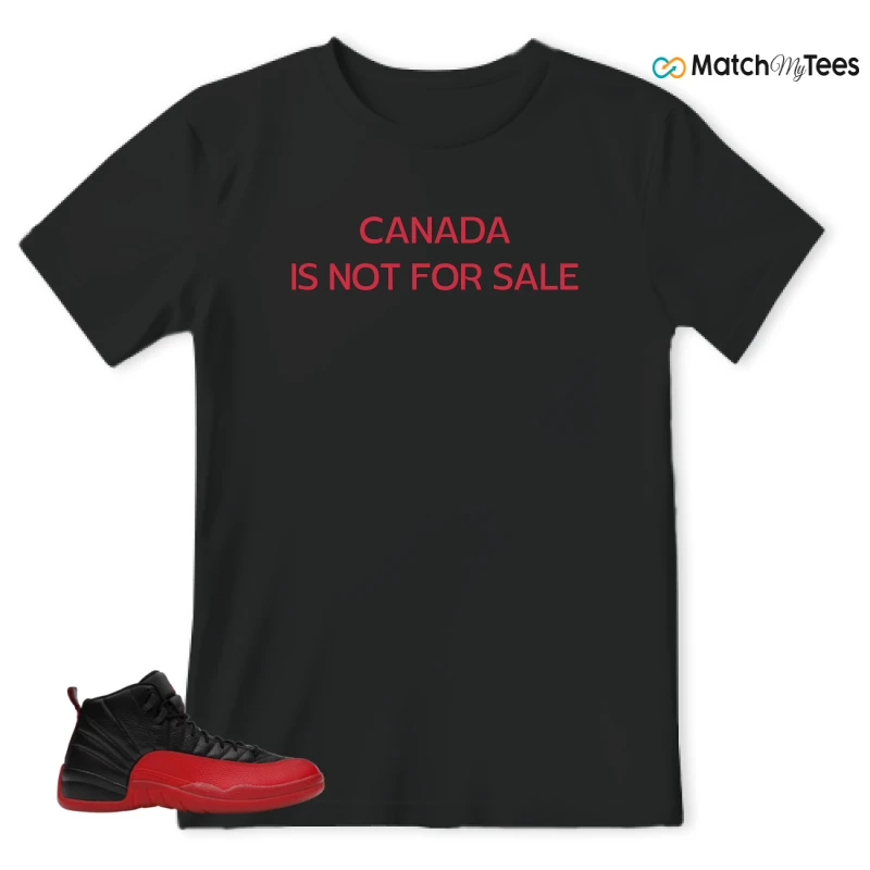 NIKE JORDAN 12 RETRO FLU GAME (2025) SNEAKER Matching Tees t-shirt