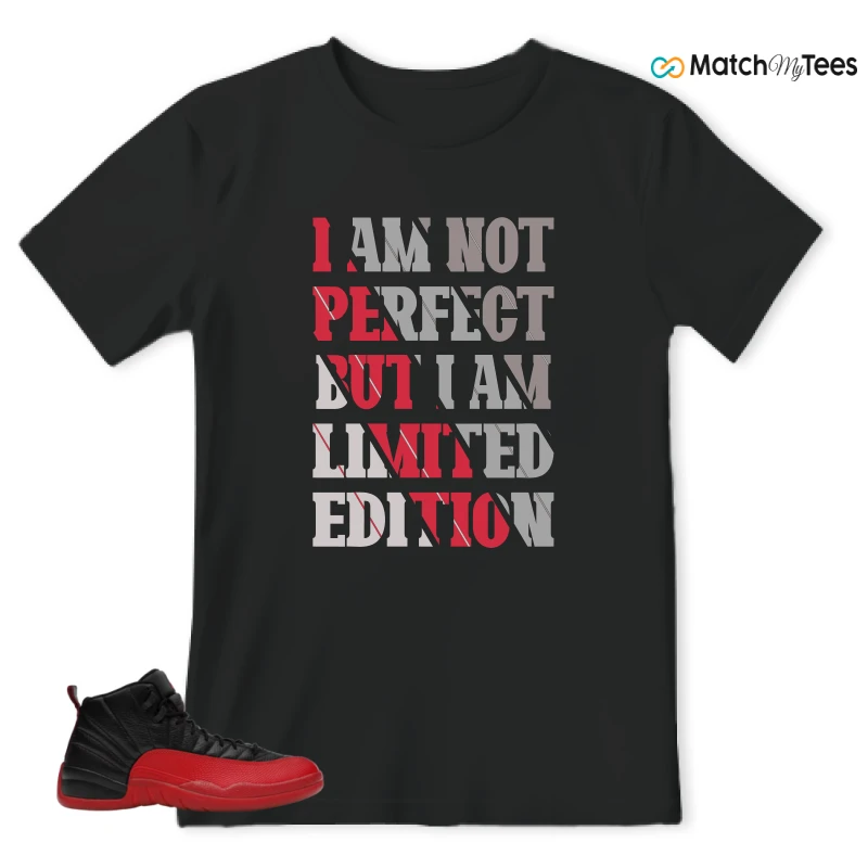 NIKE JORDAN 12 RETRO FLU GAME (2025) SNEAKER Matching Tees t-shirt