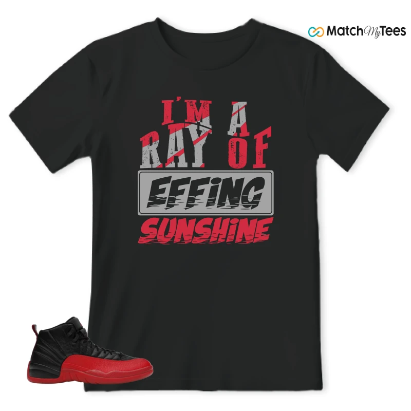 NIKE JORDAN 12 RETRO FLU GAME (2025) SNEAKER Matching Tees t-shirt