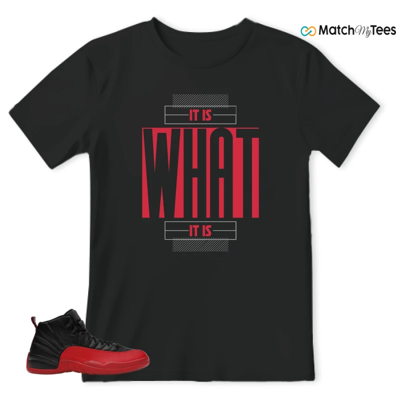 NIKE JORDAN 12 RETRO FLU GAME (2025) SNEAKER Matching Tees t-shirt