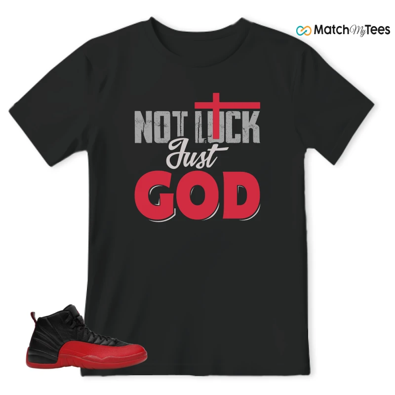 NIKE JORDAN 12 RETRO FLU GAME (2025) SNEAKER Matching Tees t-shirt