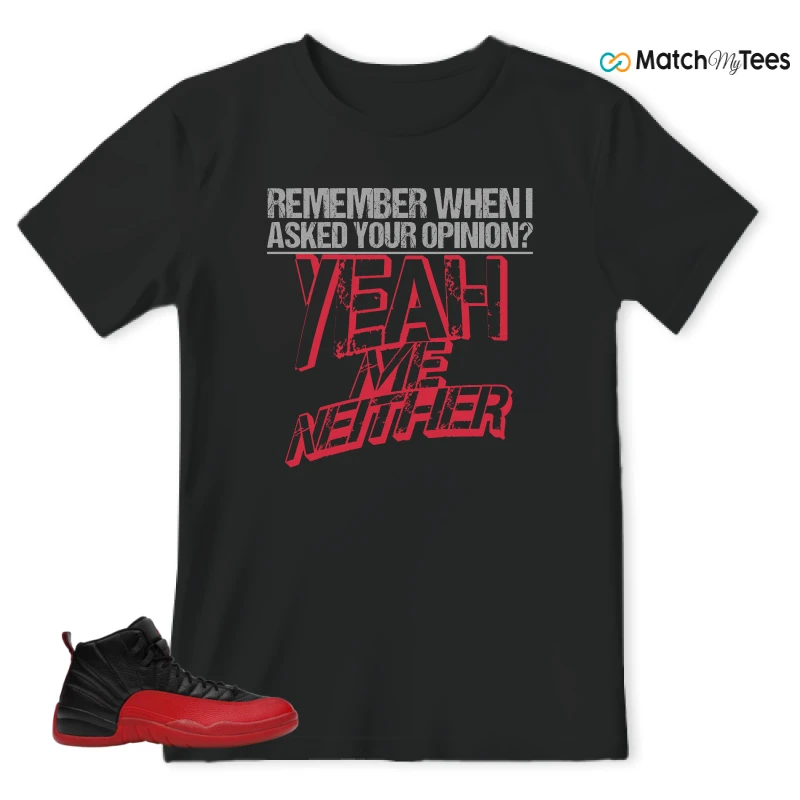 NIKE JORDAN 12 RETRO FLU GAME (2025) SNEAKER Matching Tees t-shirt