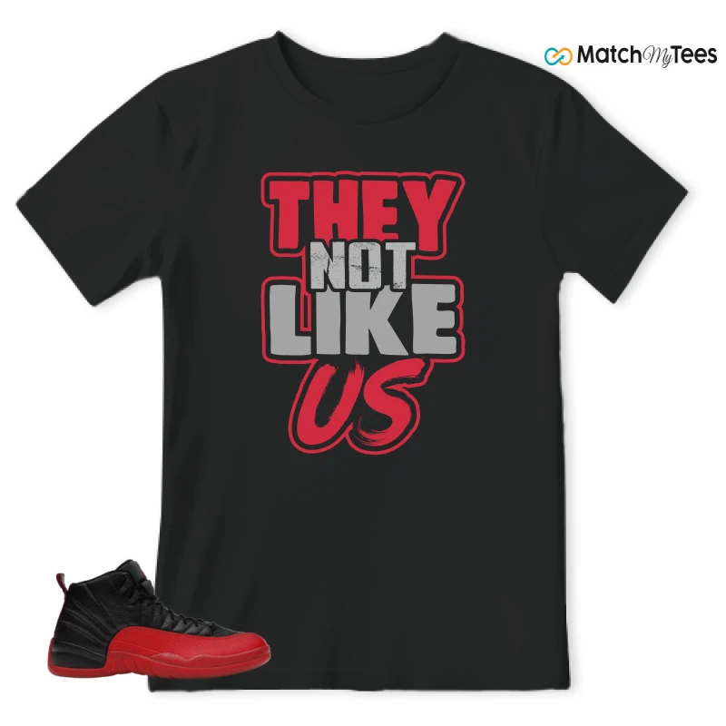 NIKE JORDAN 12 RETRO FLU GAME (2025) SNEAKER Matching Tees t-shirt