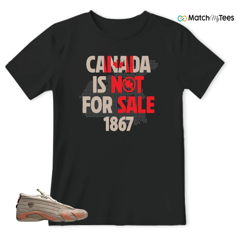 NIKE JORDAN 14 RETRO LOW CLOT TERRA BLUSH SNEAKER Matching Tees t-shirt