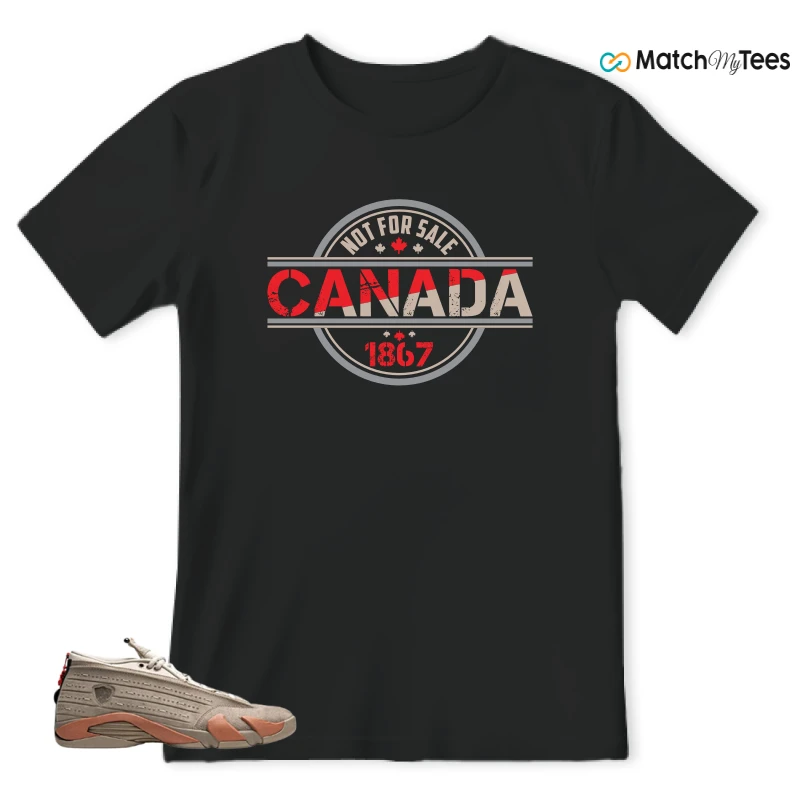 NIKE JORDAN 14 RETRO LOW CLOT TERRA BLUSH SNEAKER Matching Tees t-shirt