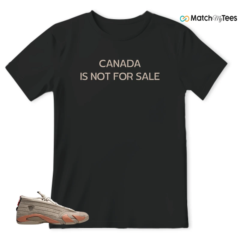 NIKE JORDAN 14 RETRO LOW CLOT TERRA BLUSH SNEAKER Matching Tees t-shirt