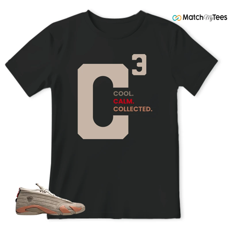NIKE JORDAN 14 RETRO LOW CLOT TERRA BLUSH SNEAKER Matching Tees t-shirt