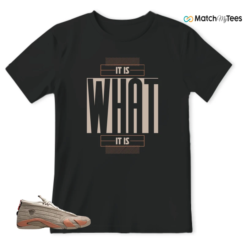 NIKE JORDAN 14 RETRO LOW CLOT TERRA BLUSH SNEAKER Matching Tees t-shirt