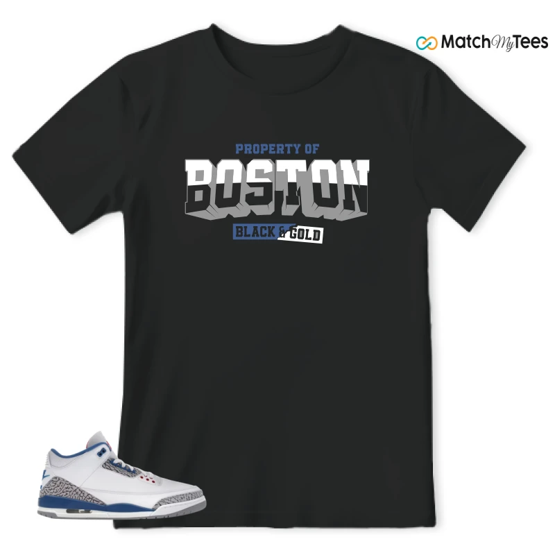 NIKE JORDAN 3 RETRO TRUE BLUE (2026) SNEAKER Matching Tees t-shirt