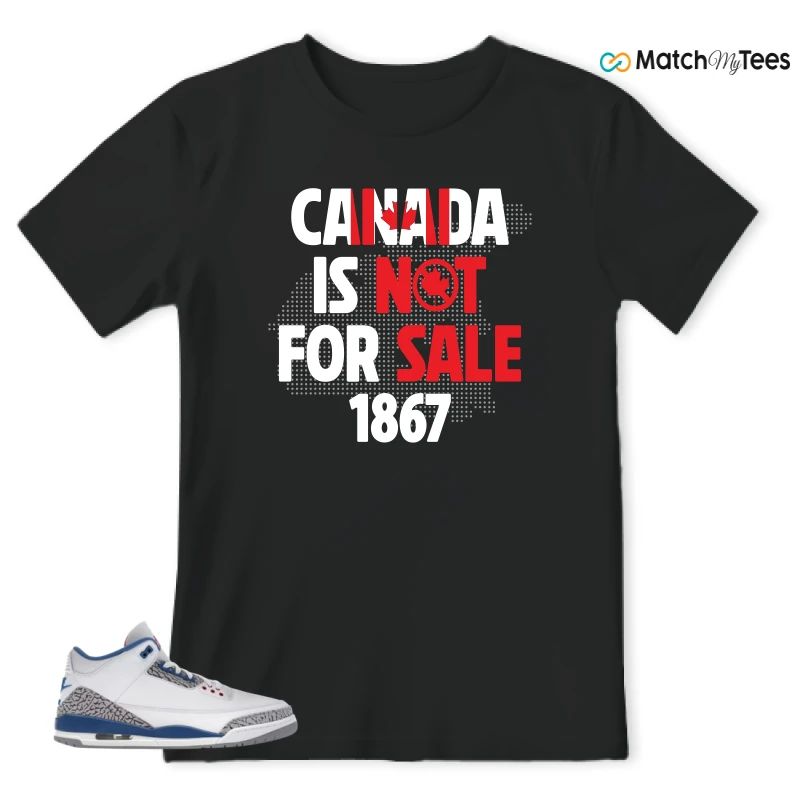 NIKE JORDAN 3 RETRO TRUE BLUE (2026) SNEAKER Matching Tees t-shirt