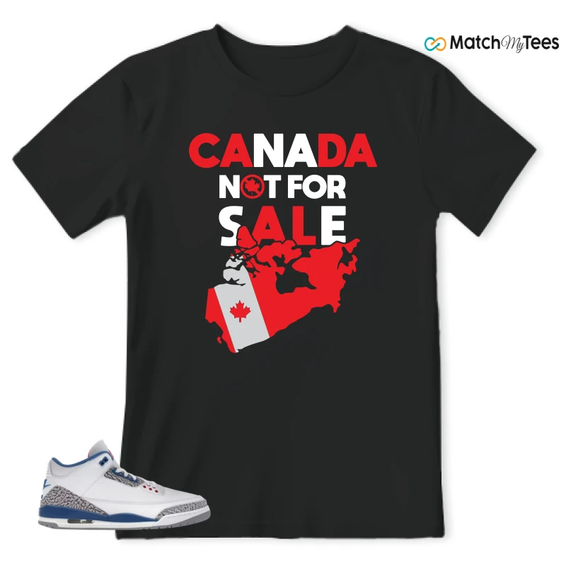 NIKE JORDAN 3 RETRO TRUE BLUE (2026) SNEAKER Matching Tees t-shirt
