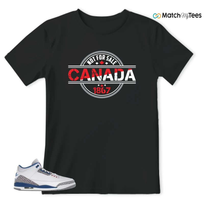 NIKE JORDAN 3 RETRO TRUE BLUE (2026) SNEAKER Matching Tees t-shirt