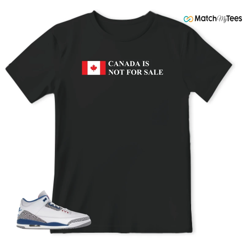 NIKE JORDAN 3 RETRO TRUE BLUE (2026) SNEAKER Matching Tees t-shirt
