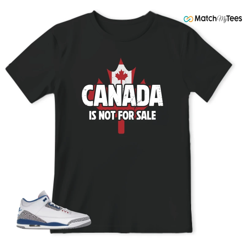 NIKE JORDAN 3 RETRO TRUE BLUE (2026) SNEAKER Matching Tees t-shirt
