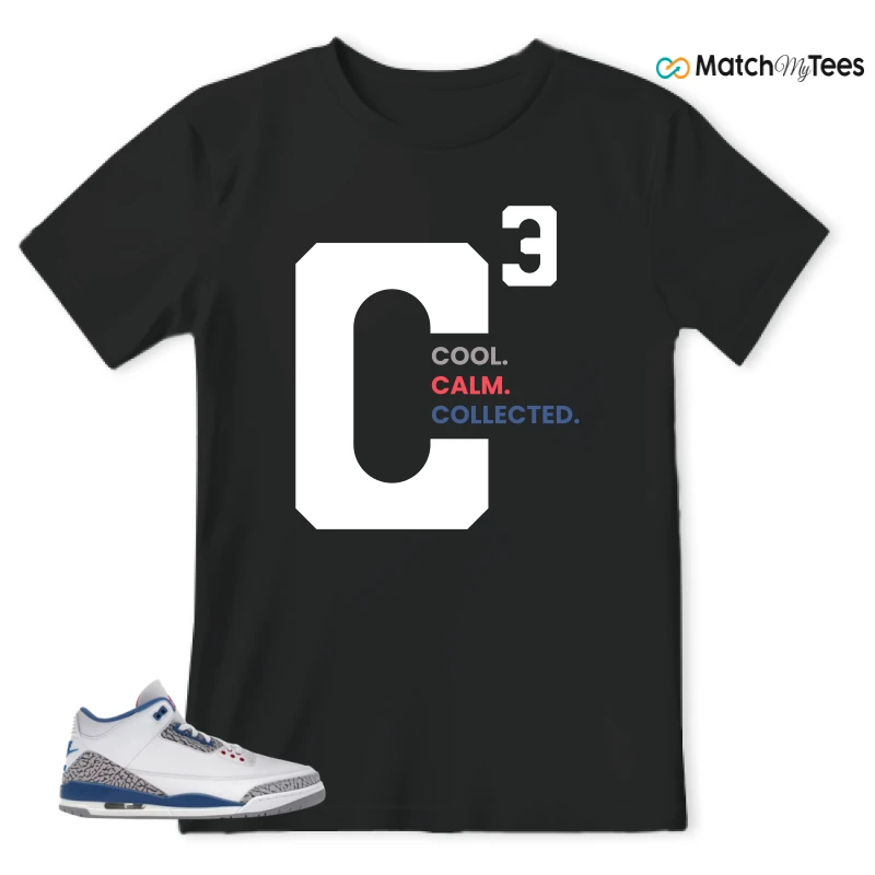 NIKE JORDAN 3 RETRO TRUE BLUE (2026) SNEAKER Matching Tees t-shirt