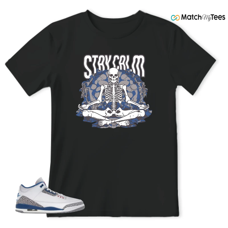 NIKE JORDAN 3 RETRO TRUE BLUE (2026) SNEAKER Matching Tees t-shirt