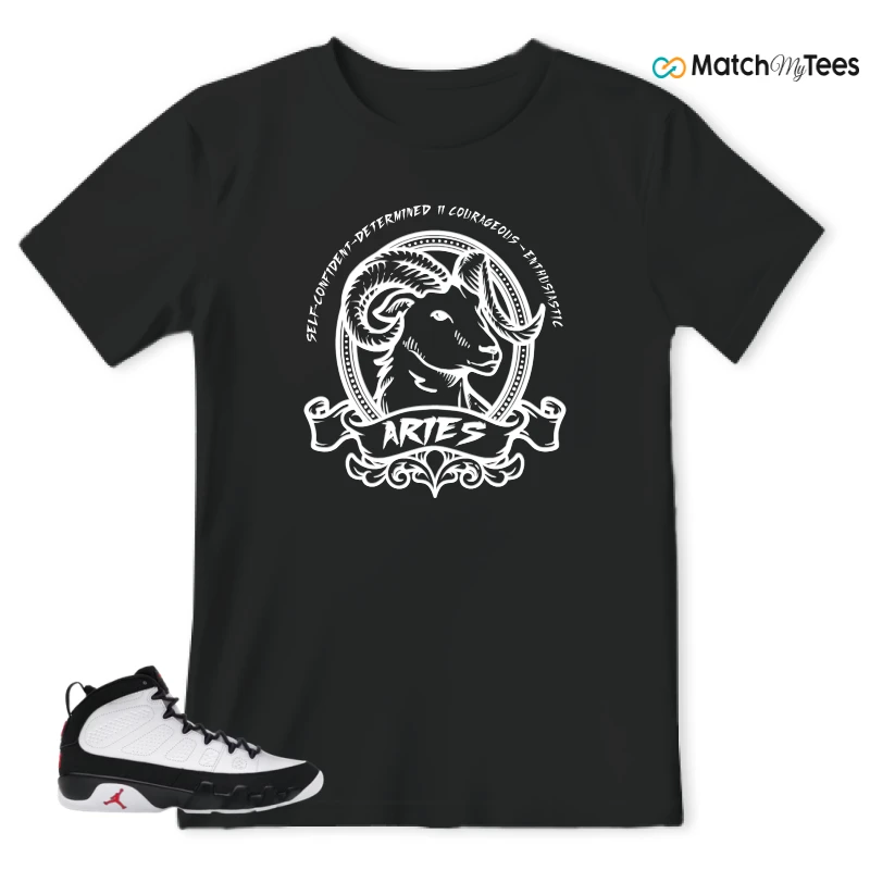 NIKE JORDAN 9 RETRO OG SPACE JAM (2026) SNEAKER Matching Tees t-shirt