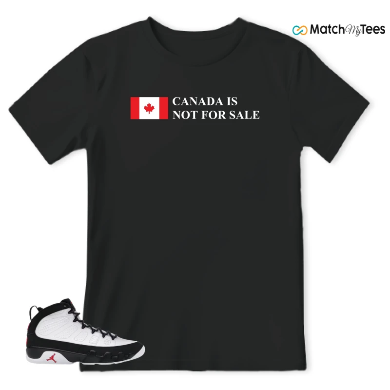NIKE JORDAN 9 RETRO OG SPACE JAM (2026) SNEAKER Matching Tees t-shirt
